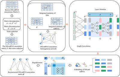 Identifying SM-miRNA associations based on layer attention graph convolutional network and matrix decomposition